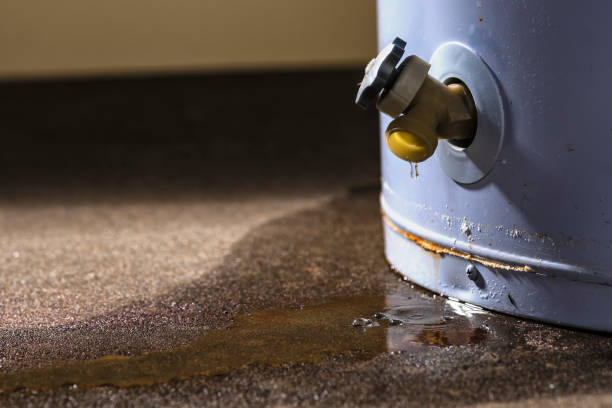 Best Commercial water damage restoration  in Mantua, UT