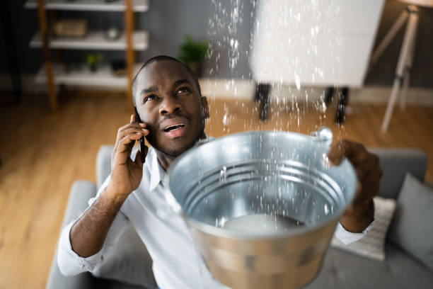 Best Mold removal after water damage  in Mantua, UT