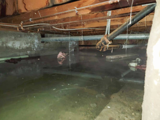Best Fire Damage Restoration  in Mantua, UT