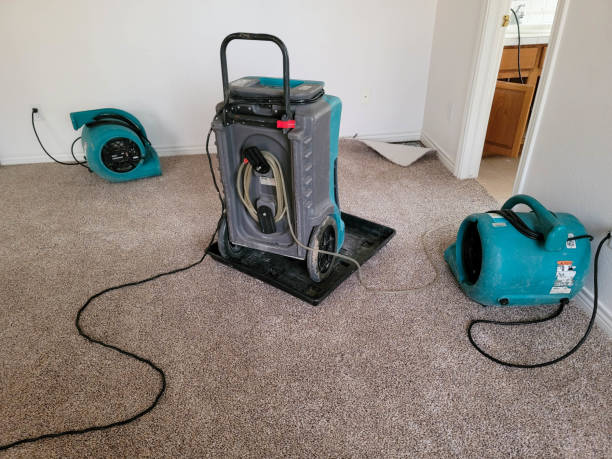 Best Flood restoration services  in Mantua, UT
