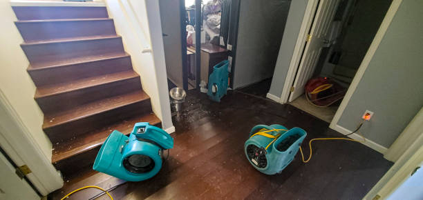 Best Water damage restoration services  in Mantua, UT