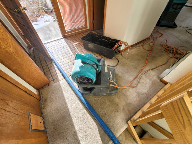 Best Emergency water damage restoration  in Mantua, UT
