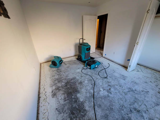 Best Water damage repair service  in Mantua, UT