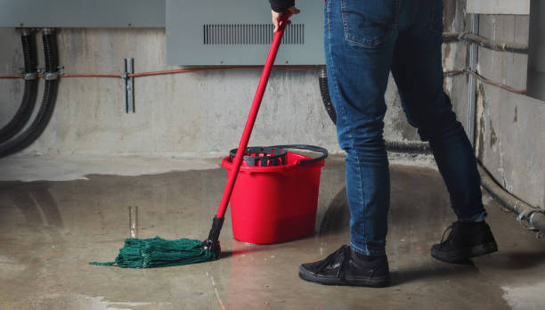 Carpet water damage restoration in Mantua, UT