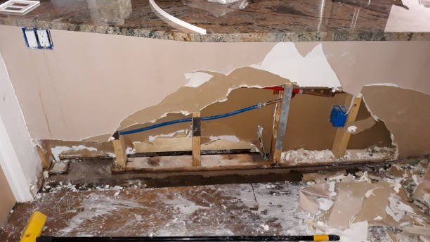 Best Water damage restoration near me  in Mantua, UT