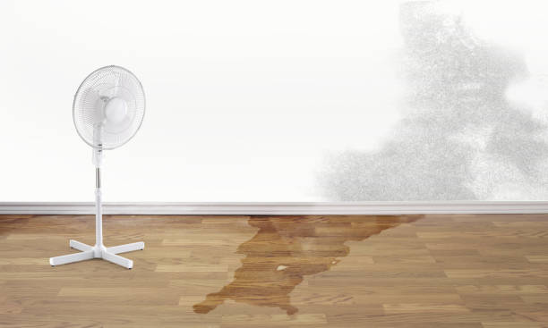 Best Commercial water damage restoration  in Mantua, UT