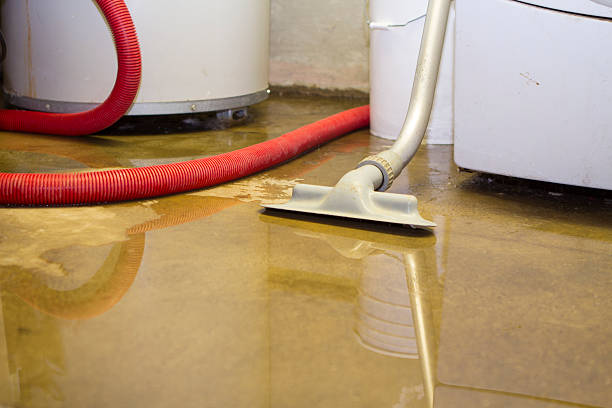 Best Water damage cleanup near me  in Mantua, UT