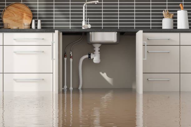 Best Water damage restoration mold remediation  in Mantua, UT