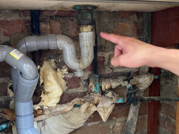 Best Sewage cleanup and water damage restoration  in Mantua, UT