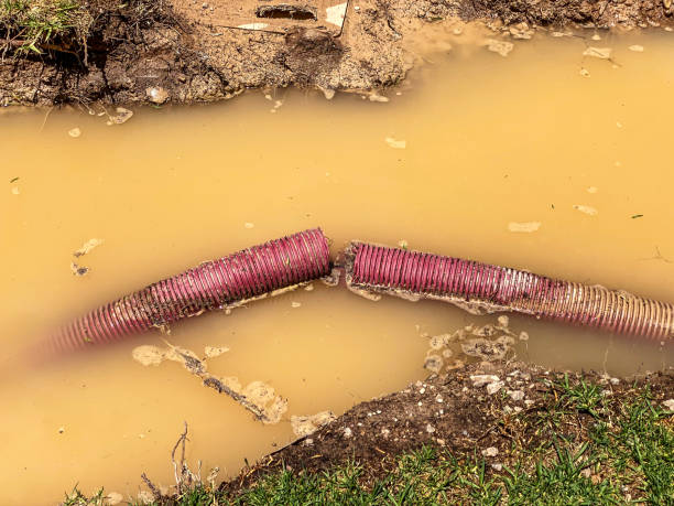 Best Basement water damage restoration  in Mantua, UT
