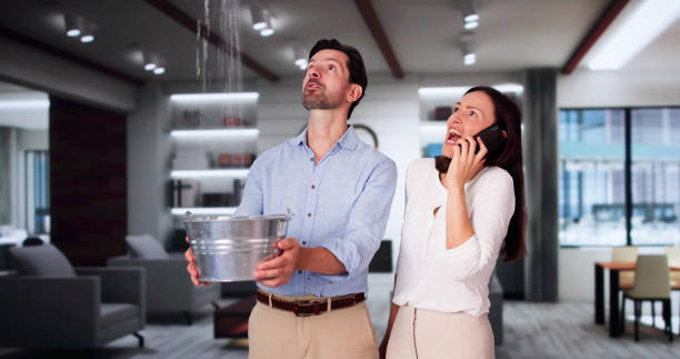 Best Water damage cleanup near me  in Mantua, UT